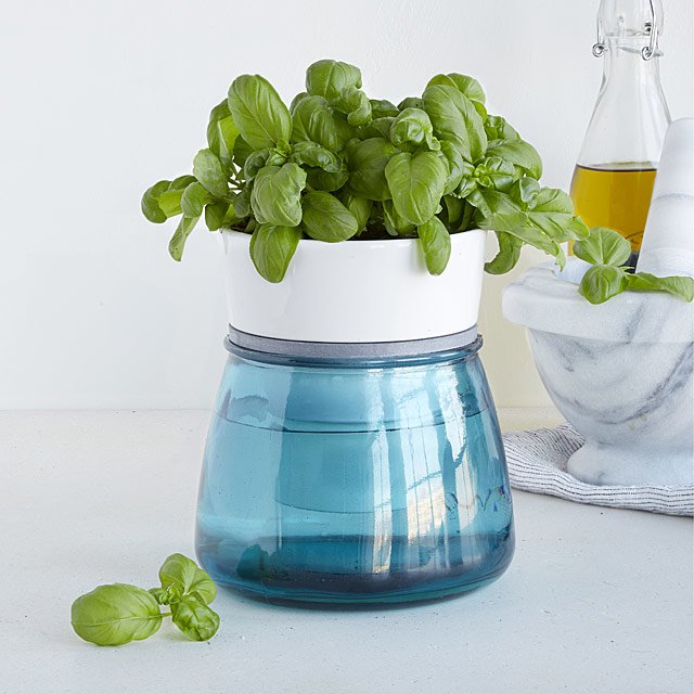 Self-Watering Kitchen Herb Pot